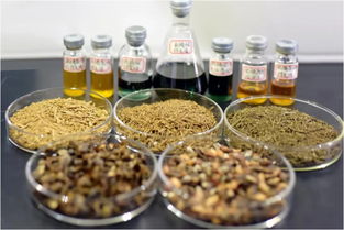 鄭州大學賈陸教授團隊突破創新 金絲楠木提取物研發獲國家專利，植物提取技術再攀高峰