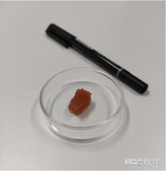 極麋生物突破 5種動(dòng)物細(xì)胞培育成功，植物提取物引領(lǐng)培養(yǎng)基成本革命